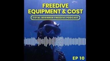 Freedive Equipment Needed for Beginner Course | Total Beginner Freedive Podcast