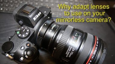 Why I adapt lenses for use with my Canon & Nikon Mirrorless cameras.